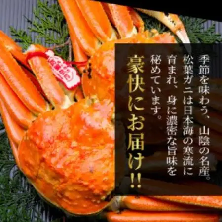 【11月中旬以降順次発送】ブランドタグ付ボイル松葉ガニ(400～500gを2枚)　OM-23【配送不可地域：離島・北海道・沖縄県・東北・信越、北陸】【1745697】