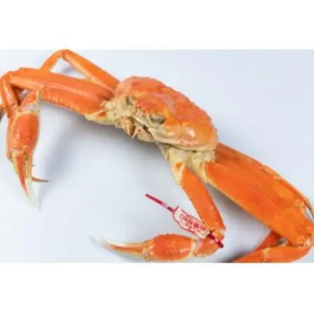 【11月中旬以降順次発送】ブランドタグ付ボイル松葉ガニ(LL　約1kg)　OM-25【配送不可地域：離島・北海道・沖縄県・東北・信越、北陸】【1745699】