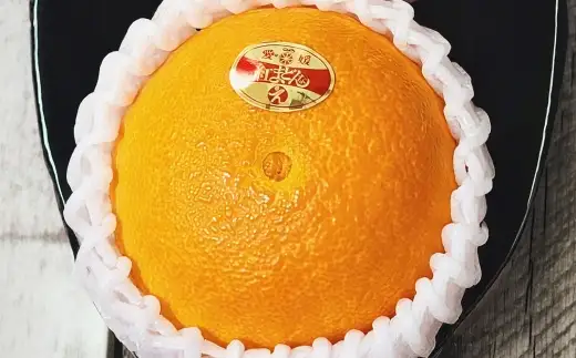 紅まどんな 約2.5kg みかん ミカン くだもの 果物 フルーツ 柑橘 柑橘系 柑橘類 果実 果汁 果肉 国産 【 2026年11月下旬～12月下旬発送予定 】 ( 1120 )
