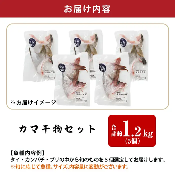 カマ 干物 セット 合計約1.2kg(5個) タイ カンパチ ブリ 詰め合わせ ひもの 焼き魚 鮮魚 専門店 魚屋 ソフト おかず お惣菜 【YS-8】【株式会社安田】