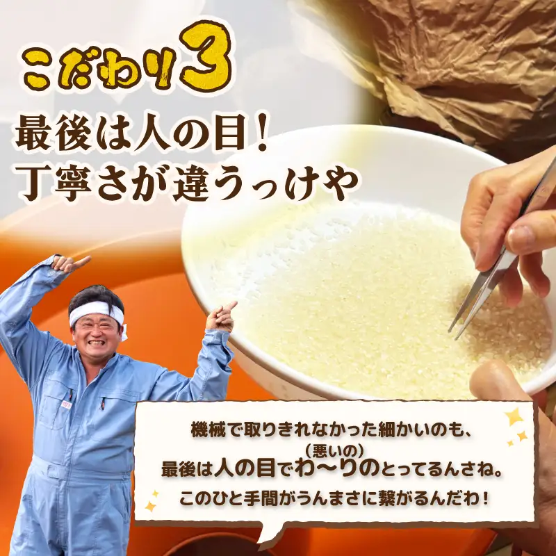 【新米予約】 プレミアム コシヒカリ 5kg 令和8年産 特別栽培米 こしひかり プレミアムコシヒカリ 精米 白米 ご飯 おにぎり 弁当 新潟県産 新発田産 菅谷産 新潟 米 お米 こめ 居城農園 菅谷 新潟県 米 新潟県 新発田市 D78_202610_01