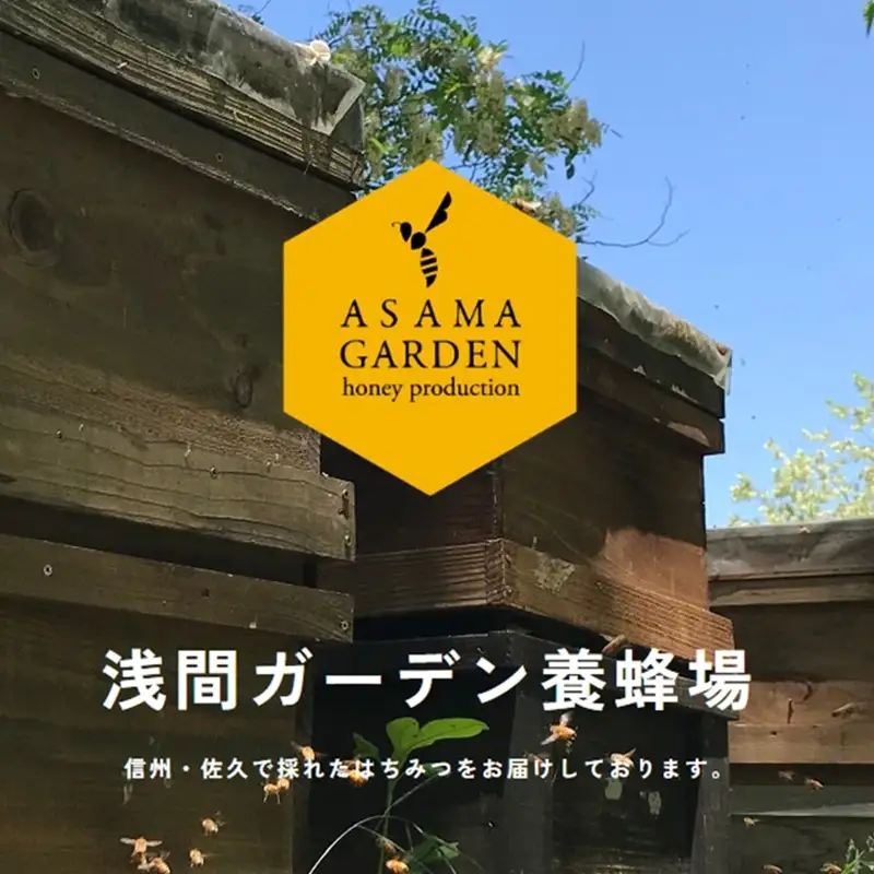 長野県産アカシアはちみつ600g（無添加・非加熱・天然100％） 信州　佐久　国産　純粋　蜂蜜　ハチミツ　ハニー　浅間ガーデン養蜂場　瓶