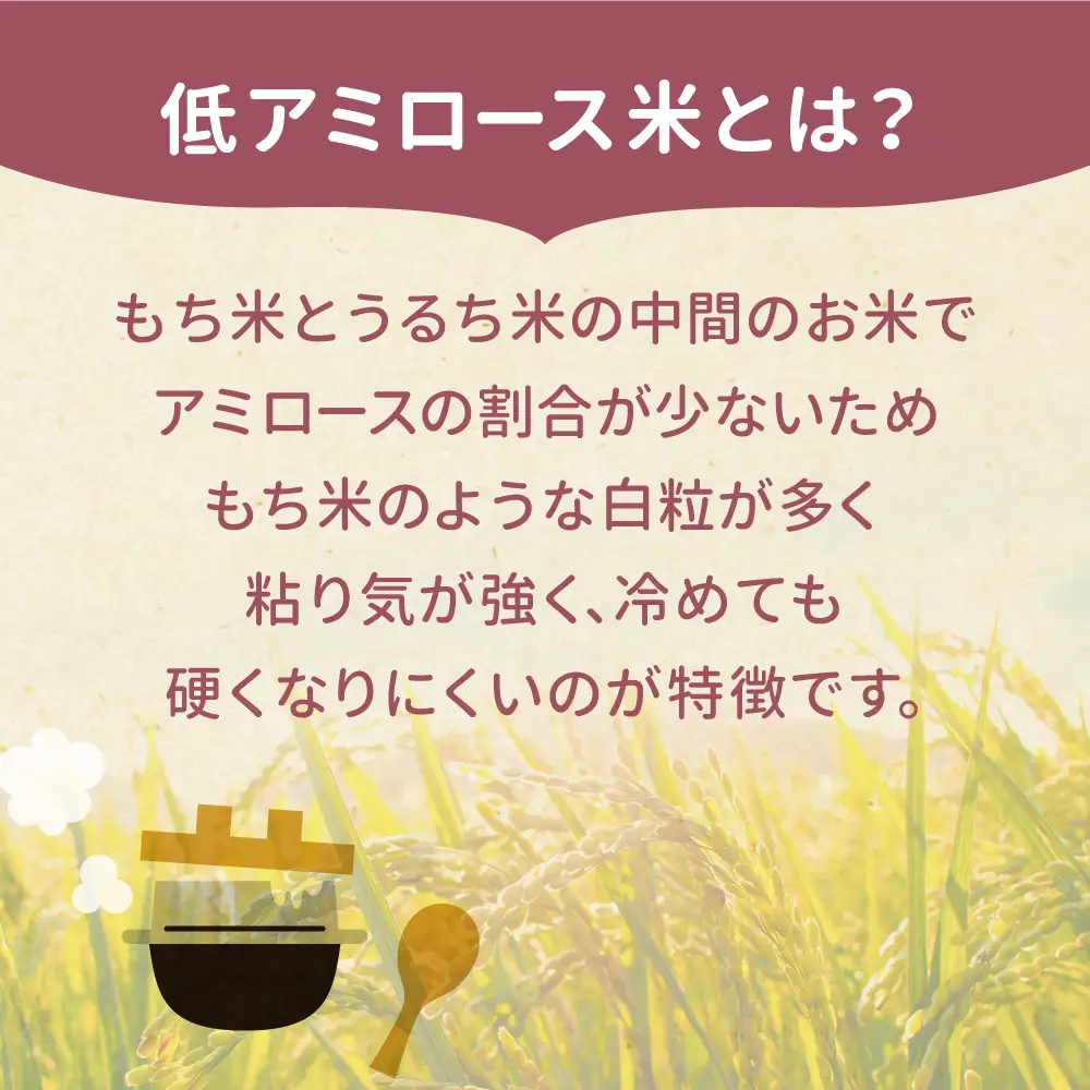 ゆきむすび 5kg 宮城県大崎市産 ゆきむすび | sg001-5kg-r7