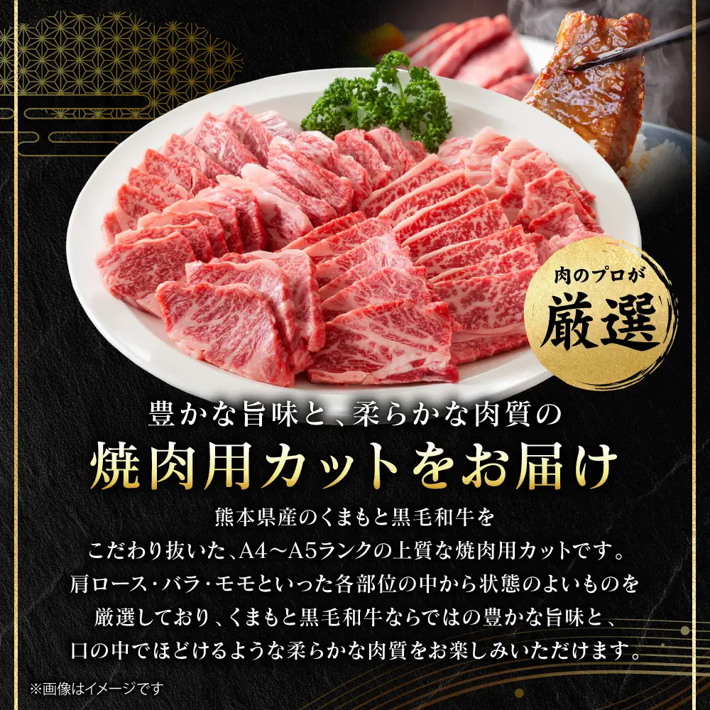 牛肉 くまもと黒毛和牛 焼肉用 500g （250g×2パック） A4～A5ランク 牛肉