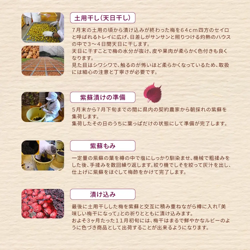 梅干し 無添加 南高梅 小分けタイプ 昔ながらのすっぱい しそ漬け梅干し 500g (100g×5P) 【frsn0031A】