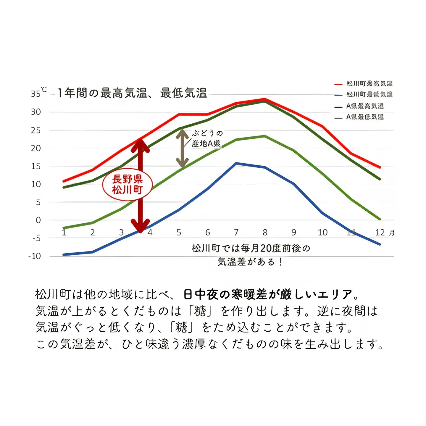 KG17 ぶどう 農家直送 シャインマスカット 家庭用 約1kg／2026年9月下旬頃～配送予定 // 長野県 南信州 松川町 葡萄 ぶどう ブドウ 産地直送 農家直送 シャインマスカット マスカット 種なし 皮ごと  果物 フルーツ 訳あり 家庭用 フードロス
