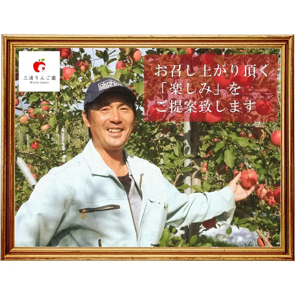 【27年3月クール便発送】りんご ぐんま名月【訳あり】約10kg 糖度13度以上（糖度証明書付）【先行受付】家庭用 青森県 弘前市 果物 フルーツ 林檎 リンゴ くだもの 不揃い 規格外