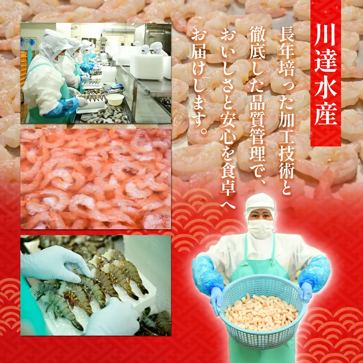 むきえび 大サイズ 2L 2.7kg 川達水産 | えび むき身 茨城県 ひたちなか市