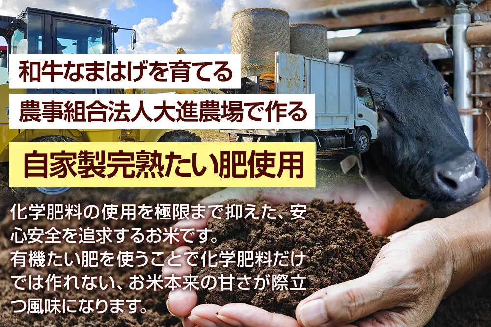 《令和8年産新米受付》食べ比べセット ミルキークイーン／あきたこまち（精米）各5kg（5kg×1袋）計10kg 大進農場
