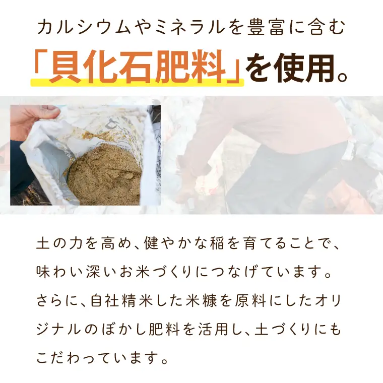 【食べ比べセット】山﨑観光農園のお米 10㎏ コシヒカリ×ゆうだい21 （AU055）
