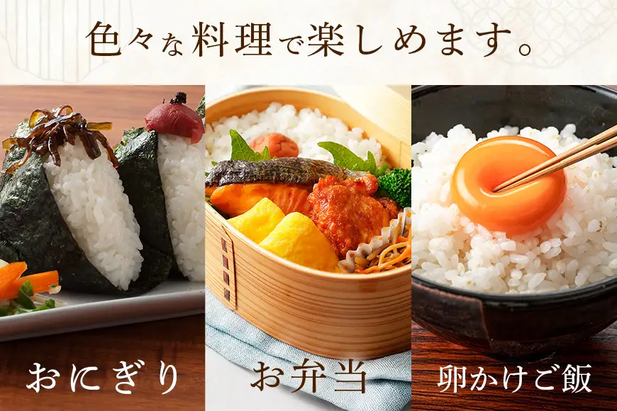 【令和8年産】獅子米　ゆうだい21（精米）10kg B02-102