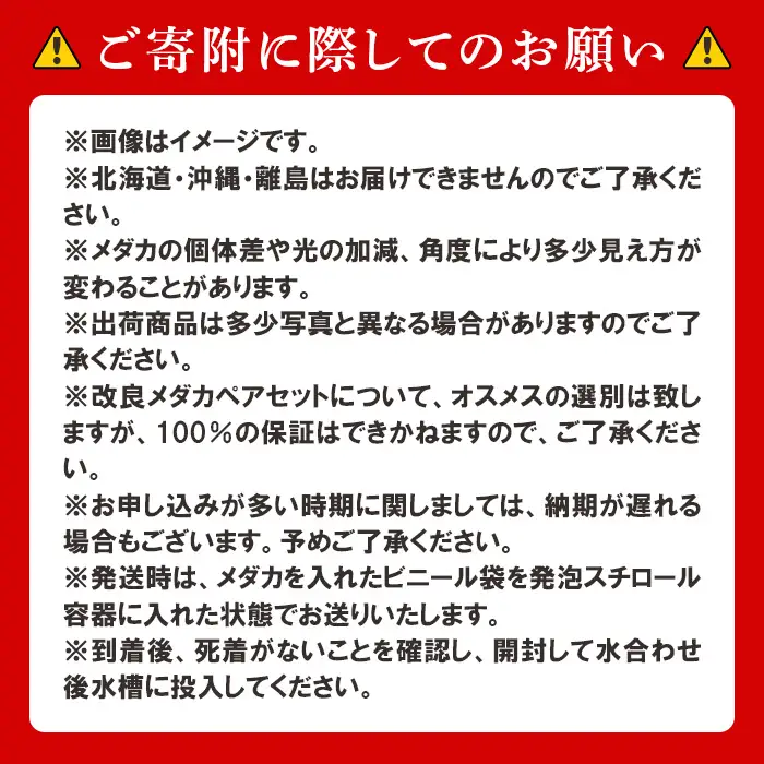 764 メダカ ルナイエロー 4匹 改良メダカ【トリハタめだか】