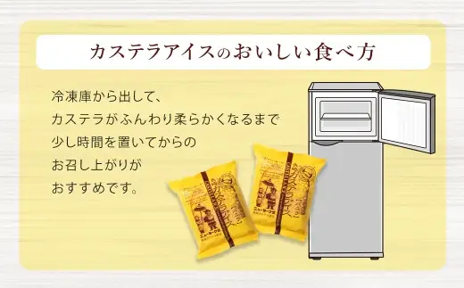 長崎カステラアイス （ バニラ ） 計6個 長崎カステラ カステラ かすてら アイス カステラアイス お菓子 菓子 おかし 洋菓子 スイーツ 冷凍