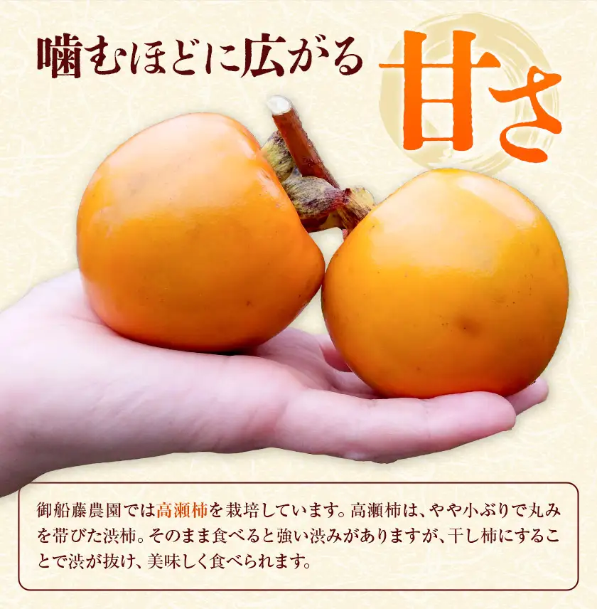 【先行予約】半生干し柿 クリームチーズブレンドチーズ付き 12個 柿 果物 フルーツ かき 高瀬柿 御船藤農園