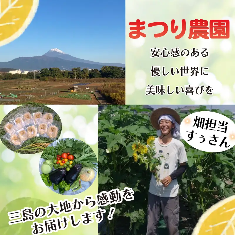 玄米麺【細麺】5個 グルテンフリー 玄米