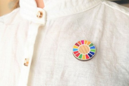 【小国町森林組合】阿蘇小国杉 SDGs ピンバッジ マグネット 計4個 小国杉 天然木 国産材 阿蘇 熊本 木製 サスティナブル アイコン 贈り物 ギフト プレゼント ノベルティにおすすめ 阿蘇小国杉のくらし