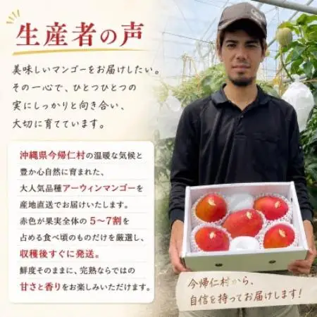 【2027年7月上旬から順次発送・贈答用】仲本マンゴー園の大玉アーウィンマンゴー2kg(3玉)【配送不可地域：離島】【1762588】