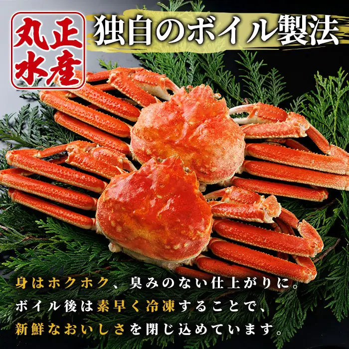 ボイル ズワイガニ(1杯)カニ フレーク 付き ずわいがに ずわい 蟹 カニ かに 姿 ガニ 冷凍 蟹しゃぶ 蟹鍋 天ぷら ぞうすい 味噌汁 【AW-118】【丸正水産】
