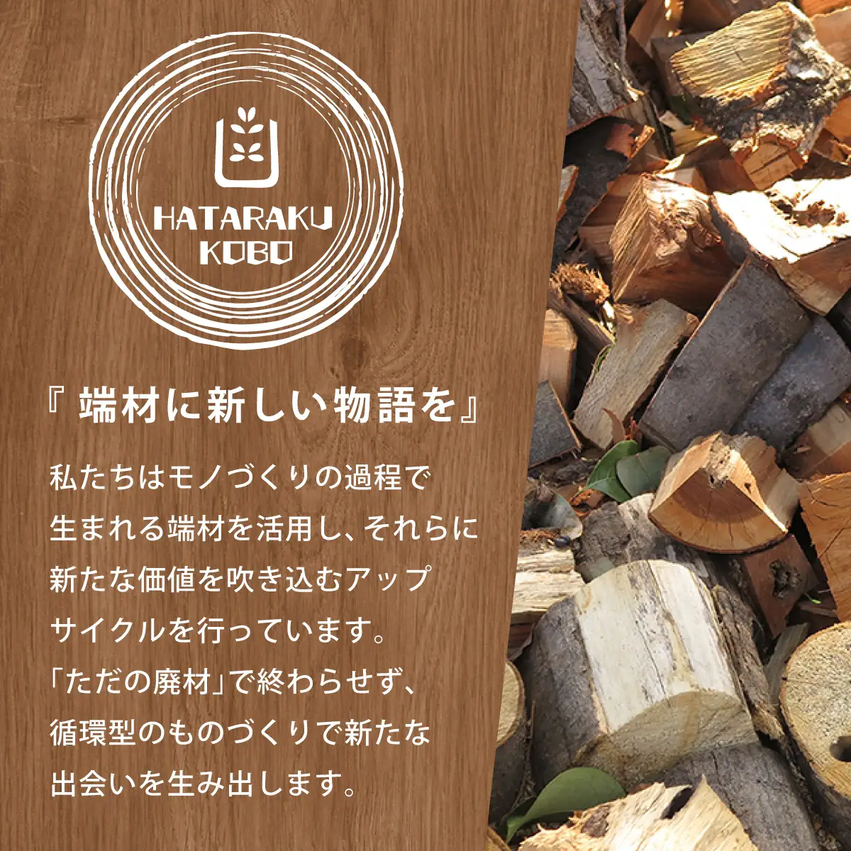 【ふるさと納税】福井の恐竜つみき [098-a002]
