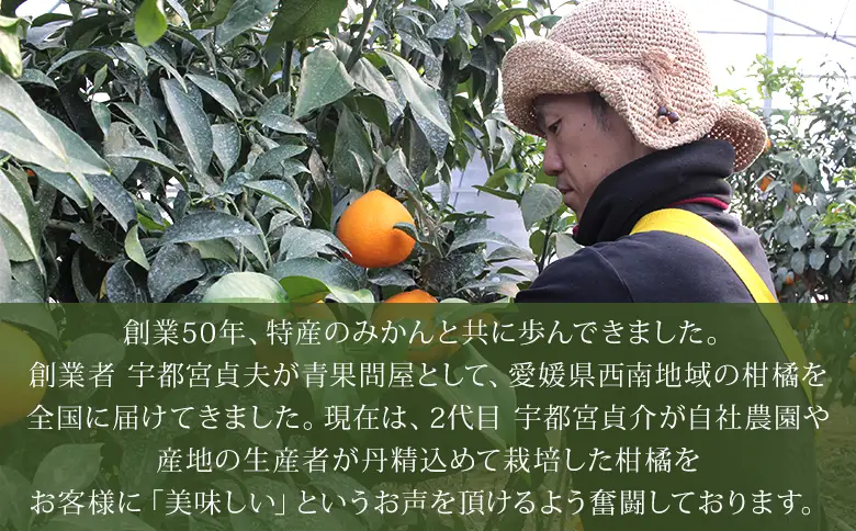 ＜今だけの「いよかんジュース」特別体験セット＞『1か月以内に順次出荷予定』果汁100％ ストレートジュース みかん ミカン 果物 くだもの フルーツ 柑橘 伊予柑 果実飲料 飲み物 ソフトドリンク 特産品 宇都宮物産 愛媛県 西予市【常温】UUB0107