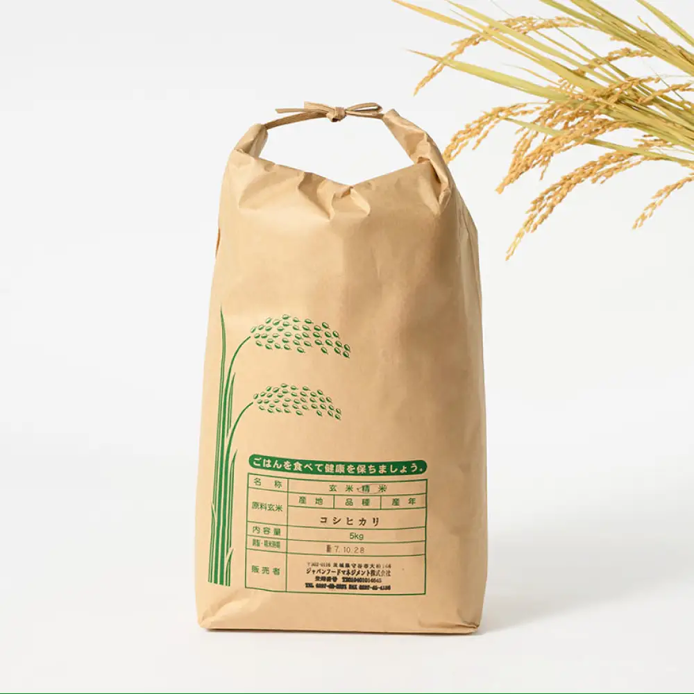 【先行予約】【令和8年産】茨城県産コシヒカリ 5kg ※2026年10月～発送 こしひかり 白米 精米
