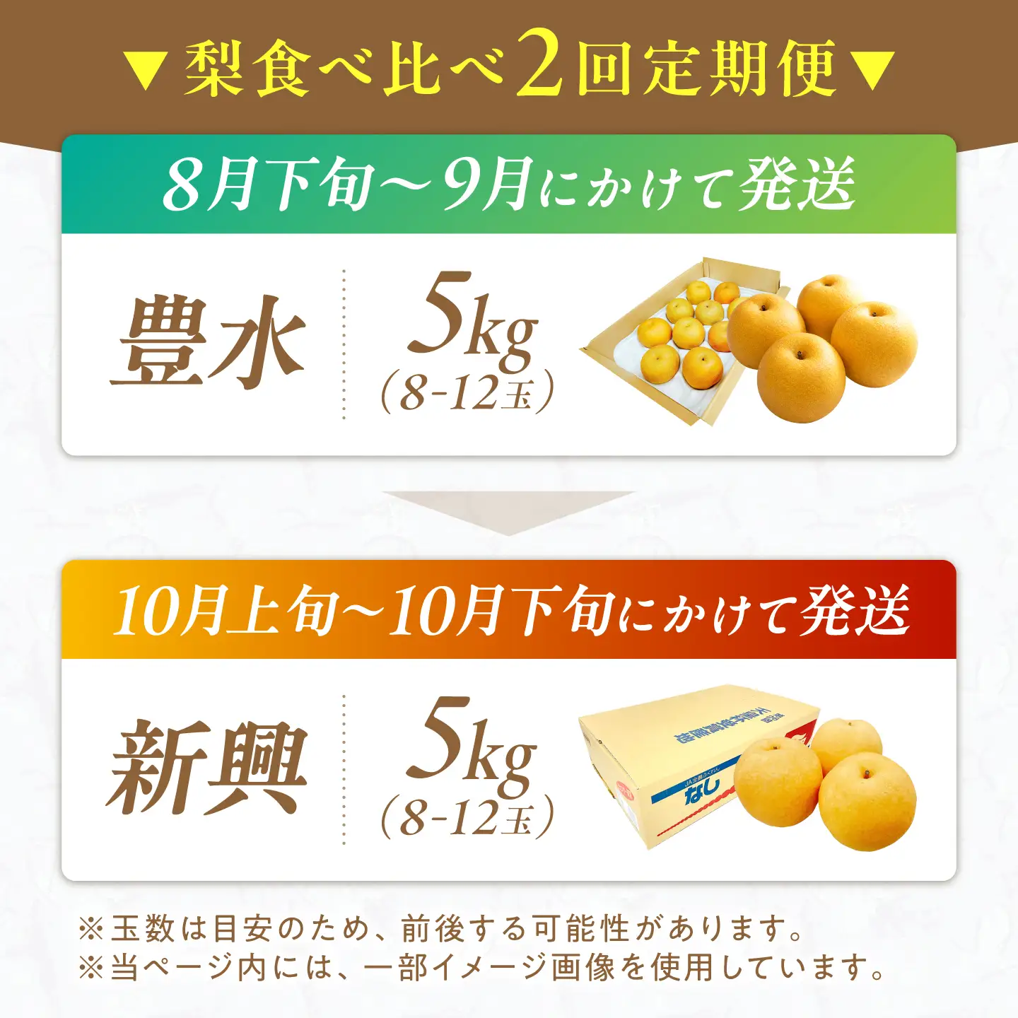 【2回定期便】 梨食べ比べ定期便 (豊水5kg/新興5kg) 広川町 / JAふくおか八女農産物直売所どろや[AFAB131]
