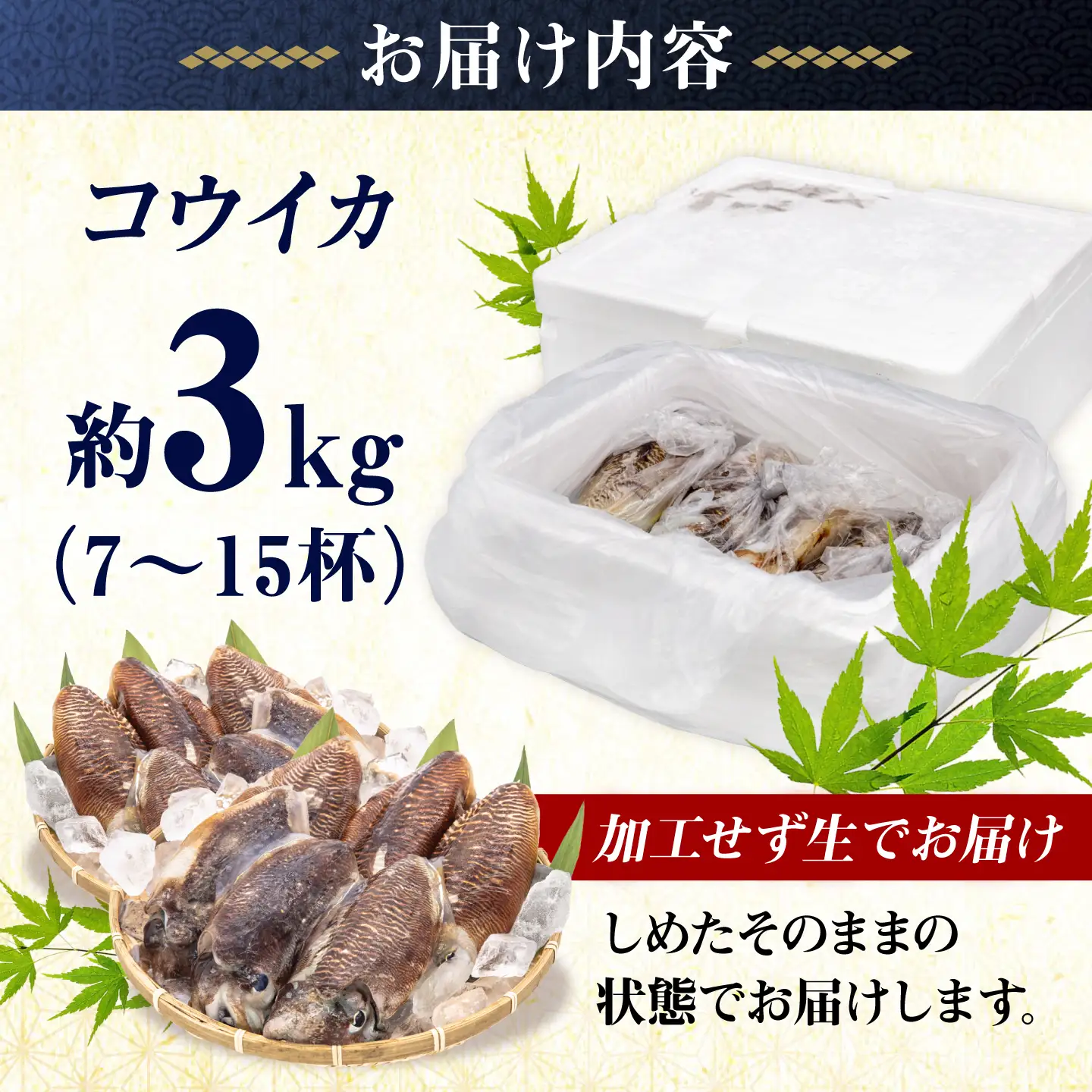 【先行予約】コウイカ 約3kg (7〜15杯)【2027年3月下旬以降順次発送】《築上町》【明青丸】いか イカ 烏賊[ABCB008]