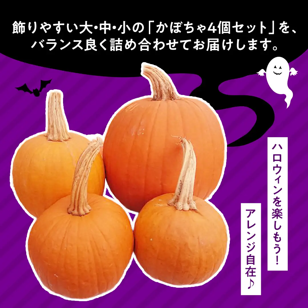 ハロウィンかぼちゃ バラエティセット 約5kg (CG002)