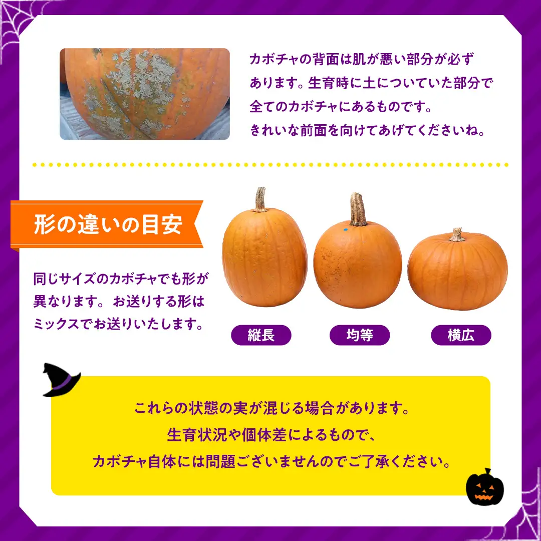 【訳あり】ハロウィン かぼちゃ 15個 ボリュームセット 計1kg Sサイズ (CG003)