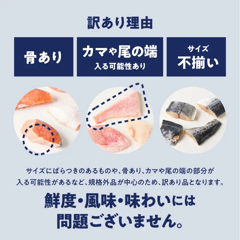 訳あり 切り身 3種セット 300g×3種 合計900g M020-046-01 鮭 鰆 赤魚 冷凍