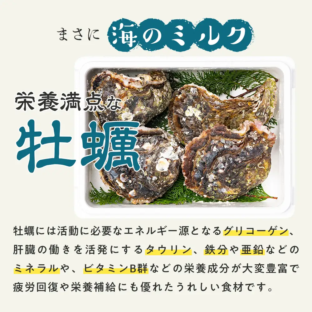 （冷蔵） Bコース 岩牡蠣 MSサイズ 4個