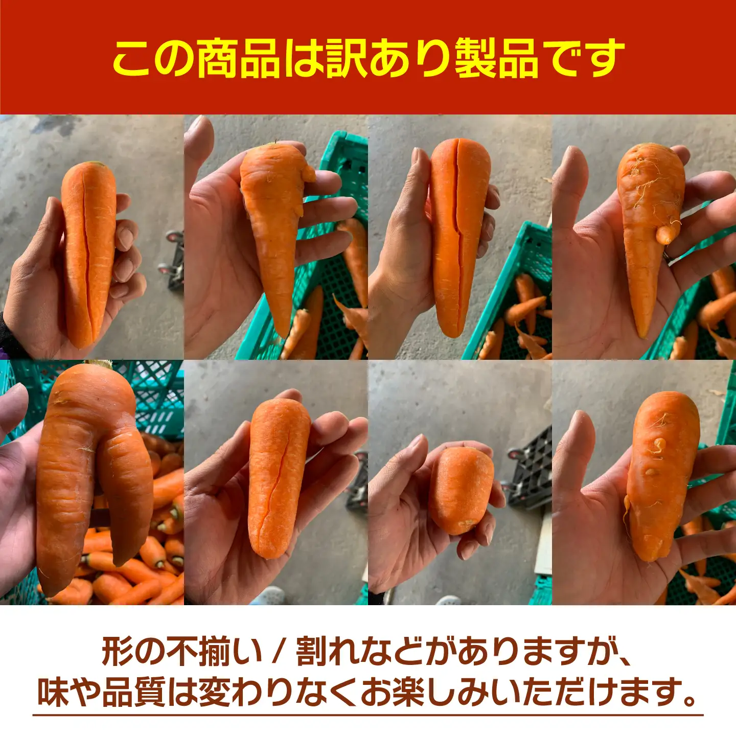 にんじん 5kg バラ詰め 訳あり / 稲沢市 / 人参 野菜 加工用 / 稲沢市 / 櫛田養鶏場[BMAY018]