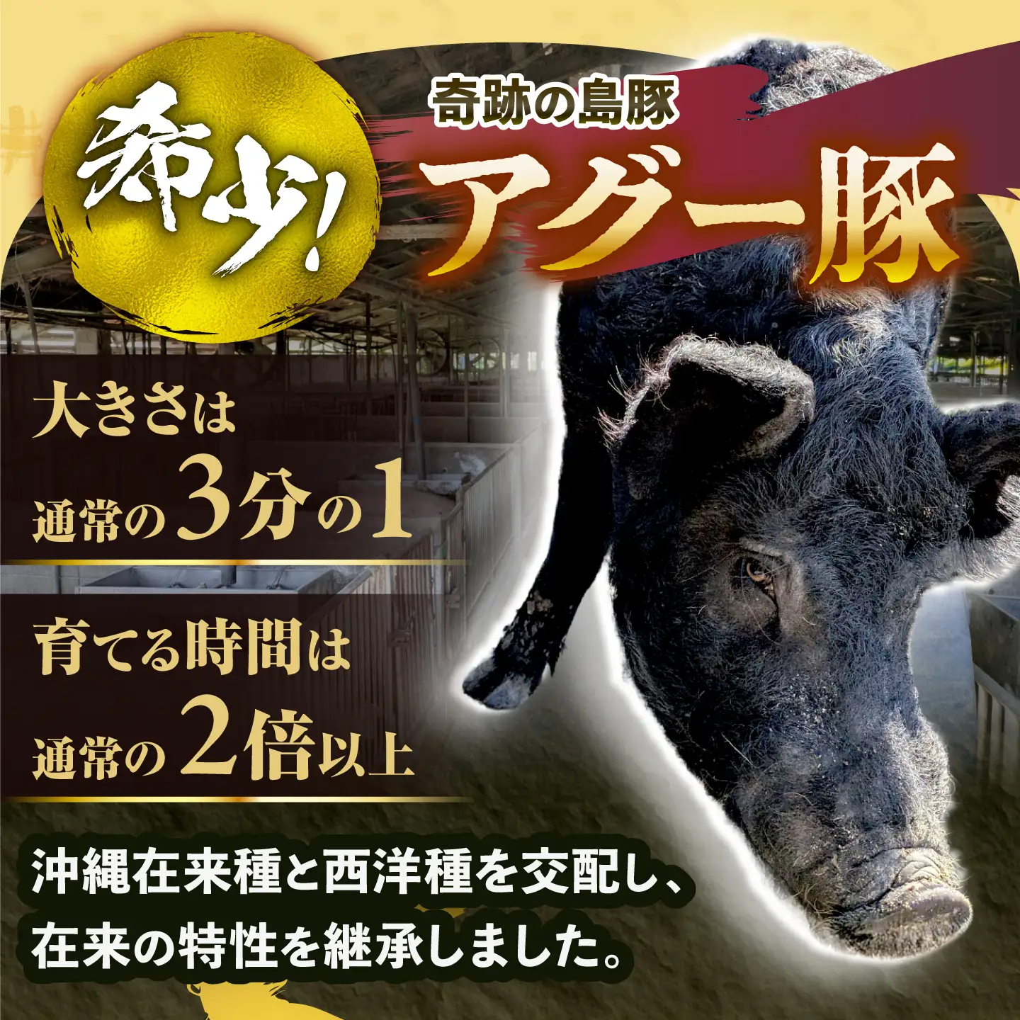 アグー豚 しゃぶしゃぶ 食べ比べ 1.2kg BCEO019