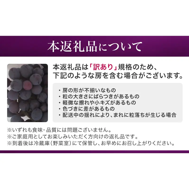 【先行予約】【訳あり・家庭用】長野県産 巨峰 約1kg 種あり 濃厚な甘み 訳あり 味問題なし 果物 旬のフルーツ 長野県産 上田市 信州