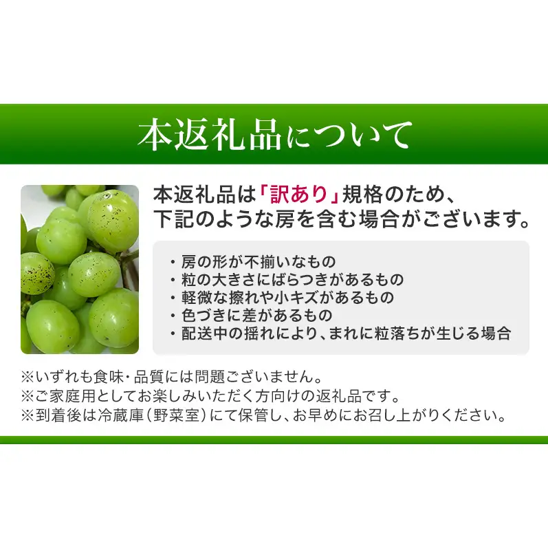 【先行予約】【訳あり・食べ比べ】長野県産 シャインマスカット＆種あり巨峰セット 約1kg（シャインマスカット1房・巨峰2～3房）家庭用 味は問題なし 季節のフルーツ 果物 信州産