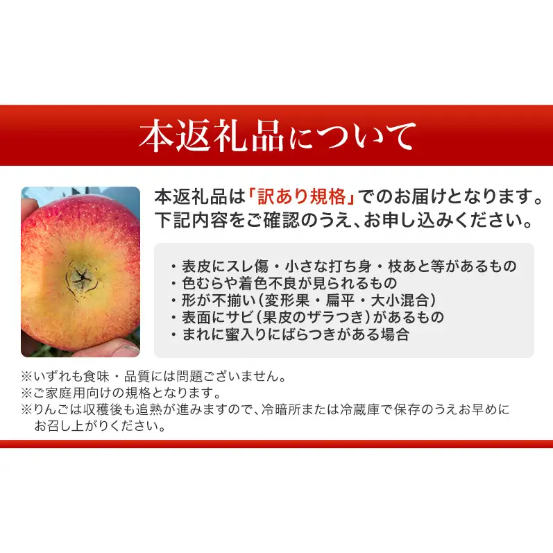 【先行予約】【訳あり・家庭用】長野県産 サンふじ 約3kg りんご リンゴ 不揃い 味は問題なし 家庭用 季節のフルーツ 果物 長野県 信州