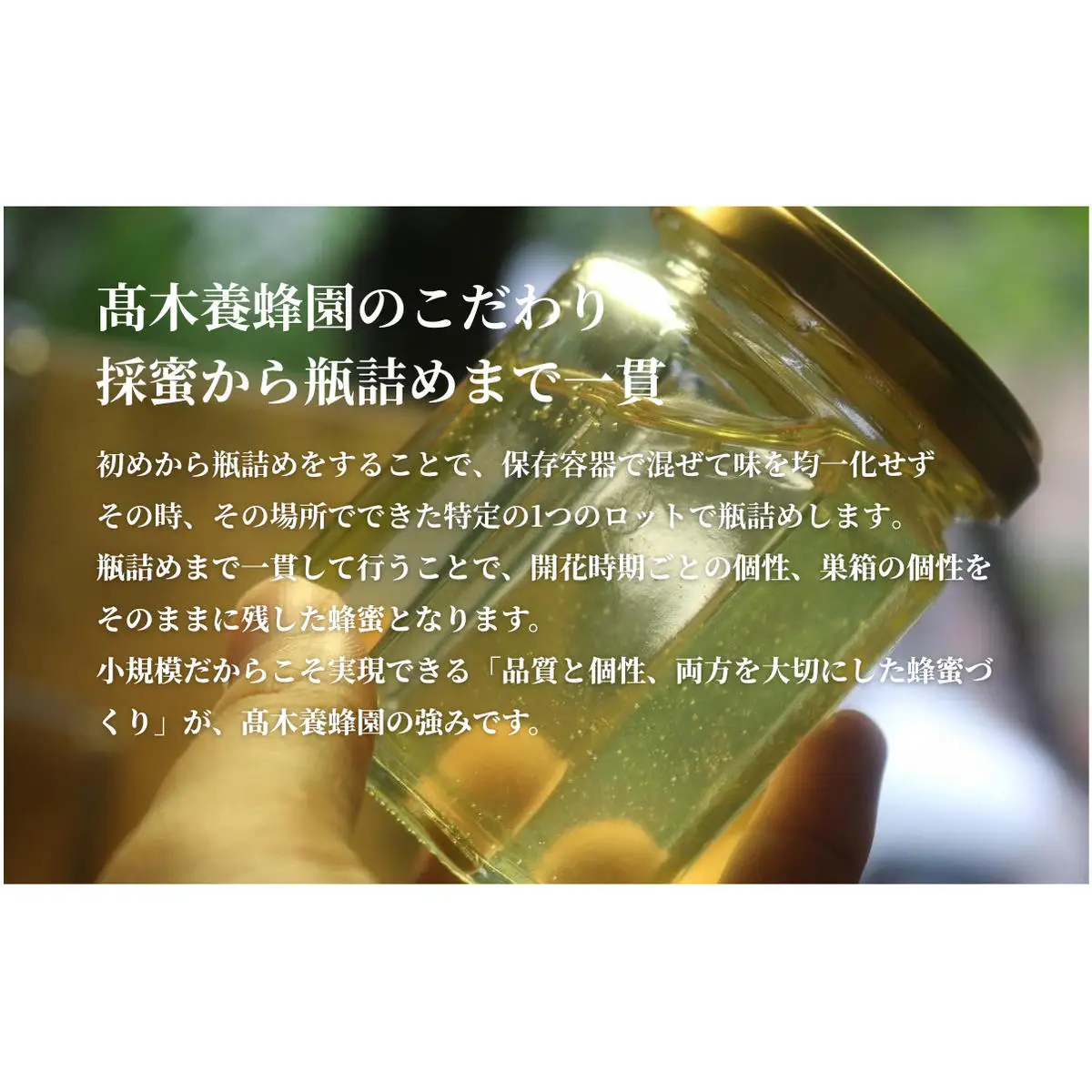 夏採れ 百花はちみつ【L】1個 国産 はちみつ 純粋 長野県 信州 上田産 夏 百花 ヘアリーベッチ フローラル 爽やか 香り 軽やか すっきり 甘み