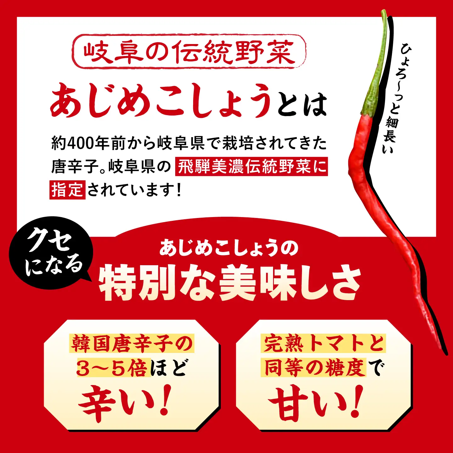 LGASIA (ルガシア) オリジナルスパイスAJIME 15g×5本 50g×2本/ アウトドア キャンプ スパイス 調味料 / 恵那市 / ＭＡＣ[AUDM012]