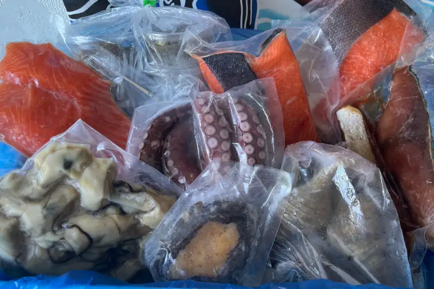 海鮮 7種 お任せ セット