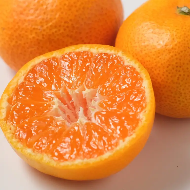 【先行予約】【秀優混合】紀州和歌山産 温州みかん「小粒っこ」約4kg（箱込み）2S～3S サイズ混合 小玉みかん（中生・晩生）