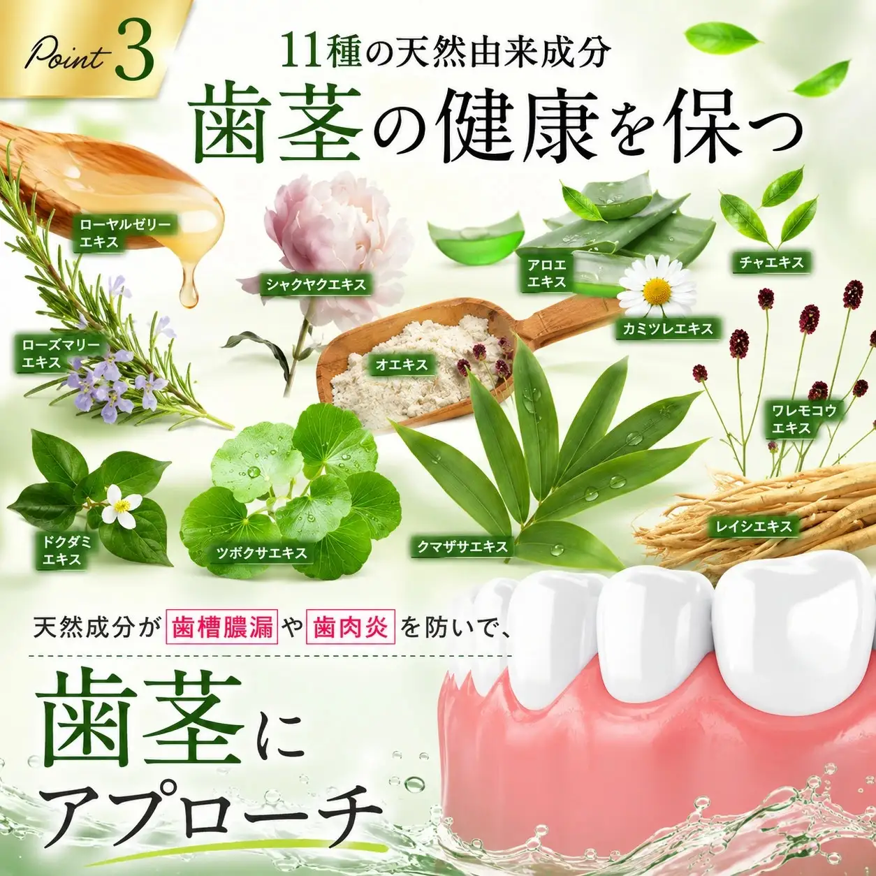 泡ホワイト 歯磨き粉 50ml 1本 AWAWhite 薬用泡歯磨きMD ホワイトニング 歯周病 予防 医薬部外品 口臭 口臭予防 歯肉炎予防 セルフホワイトニング 自宅ホワイトニング 歯 白い歯 黄ばみ 口臭ケア デンタルケア 薬用 シトラスミント 17000円 滋賀県 彦根市