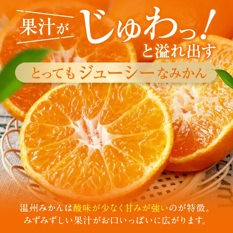 熊本県産 温州 みかん 約 8kg