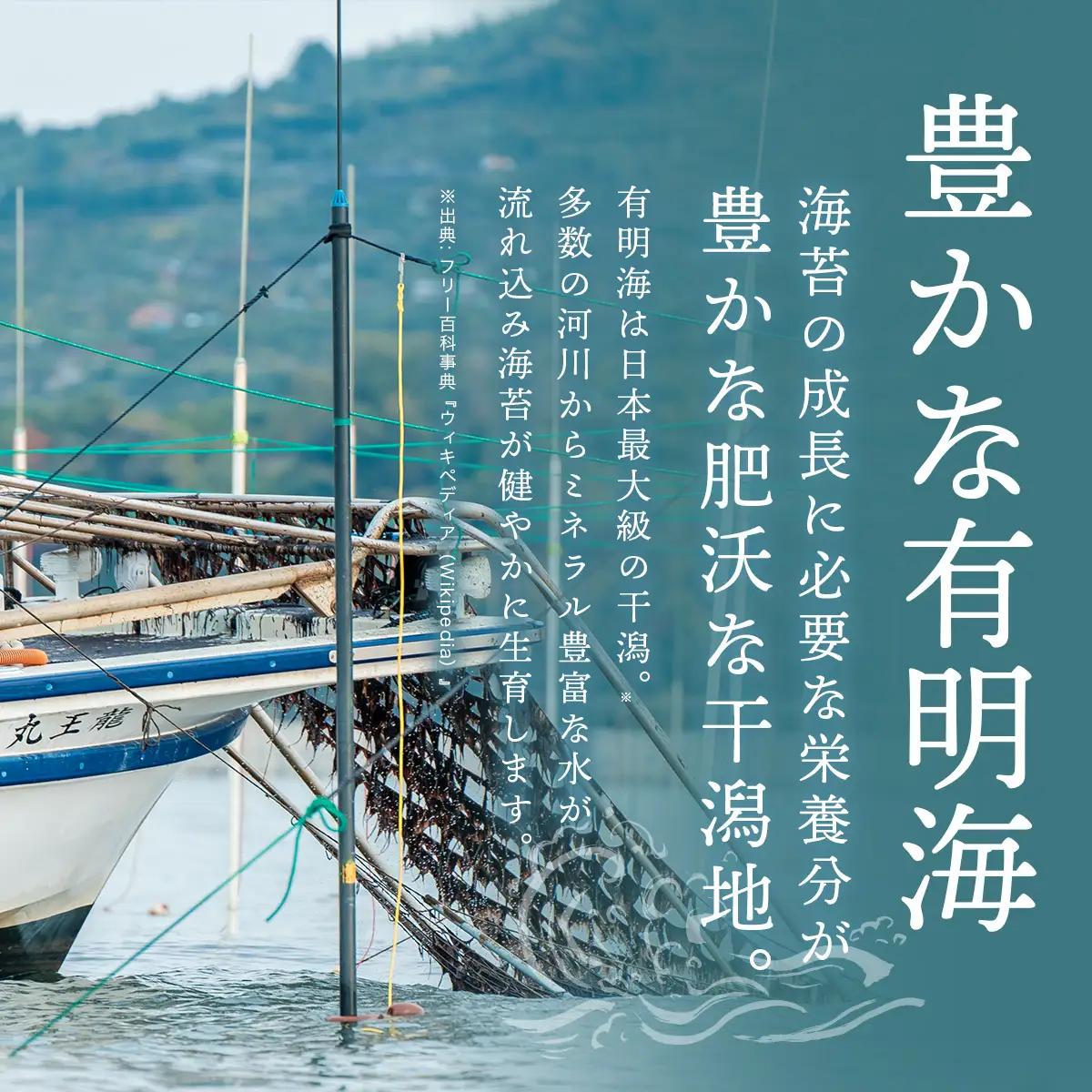 訳あり 有明海産 焼き海苔 半切り 100枚　181-C236