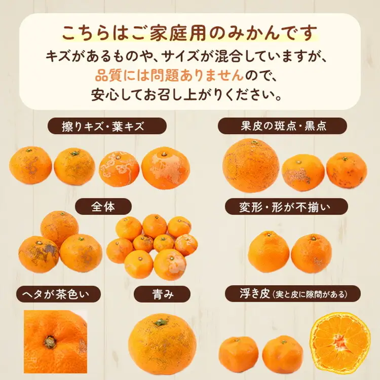 【先行予約】【訳あり】紀州和歌山産 大玉 温州みかん 約2kg（箱込み） 2L～3L サイズ混合