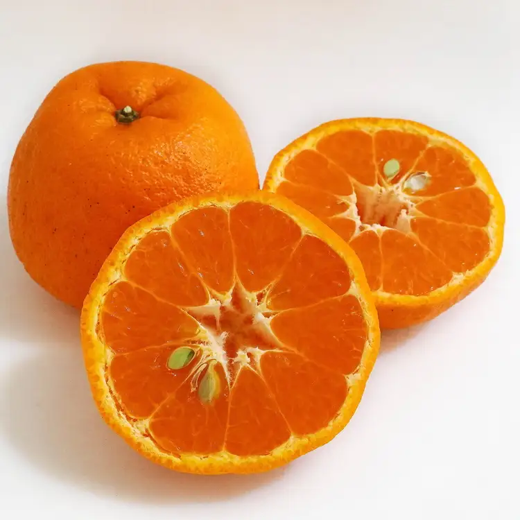 【先行予約】【秀品】紀州和歌山産 ポンカン 約2kg（箱込み）S～2L サイズ混合