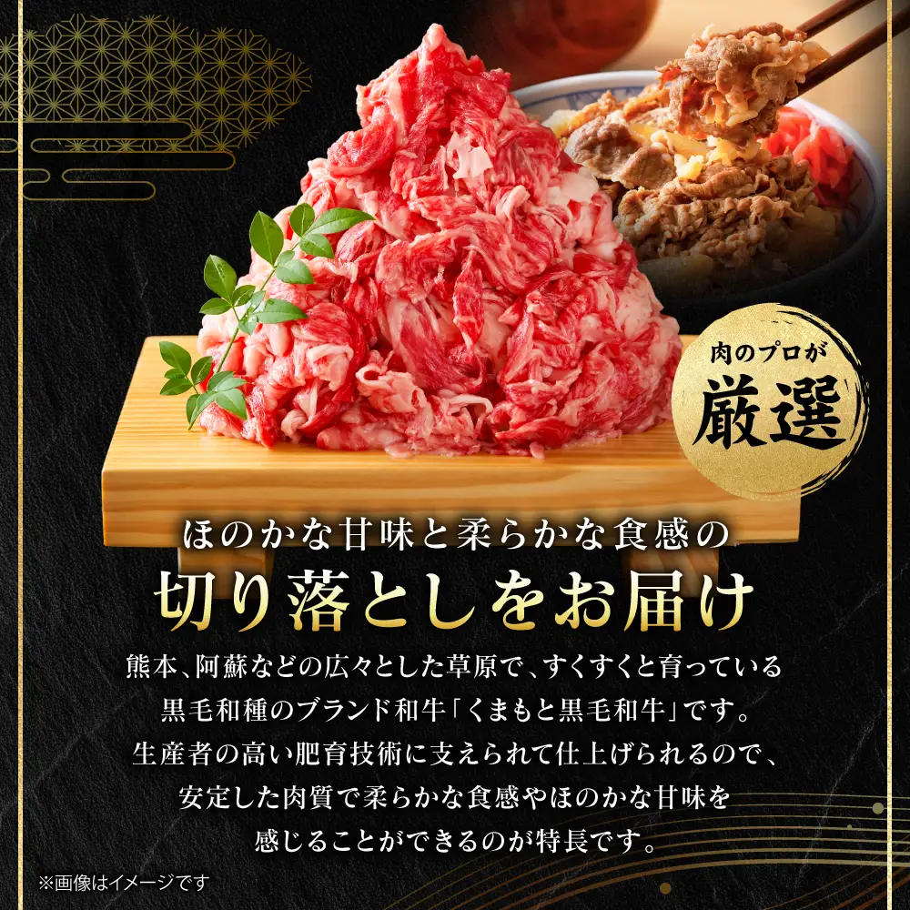 牛肉 くまもと黒毛和牛 切り落とし 1.2kg （600g×2パック） A4～A5ランク 牛肉