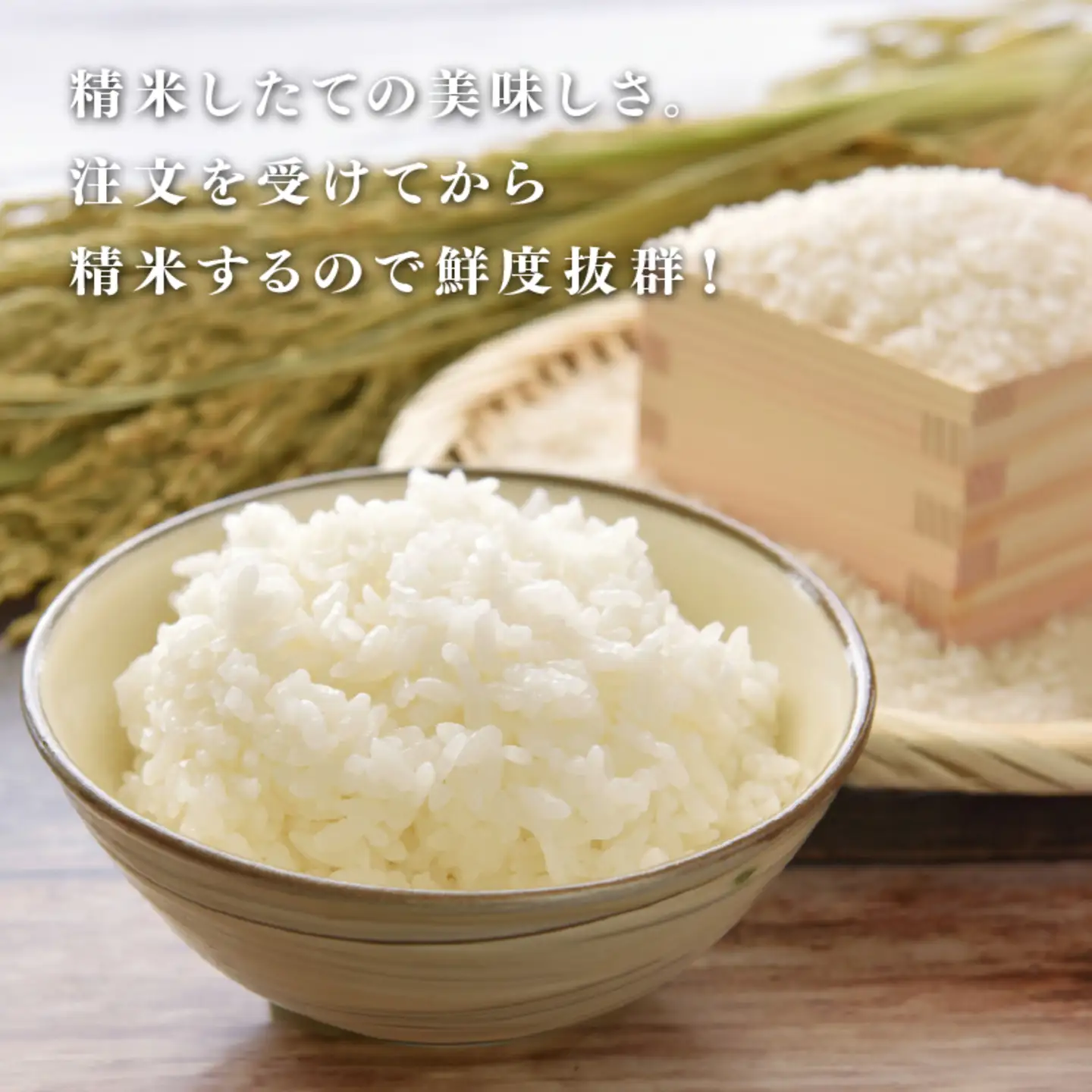 【先行予約】【2026年11月以降順次発送予定】令和8年産 新米 にじのきらめき 5kg　お米　精米
