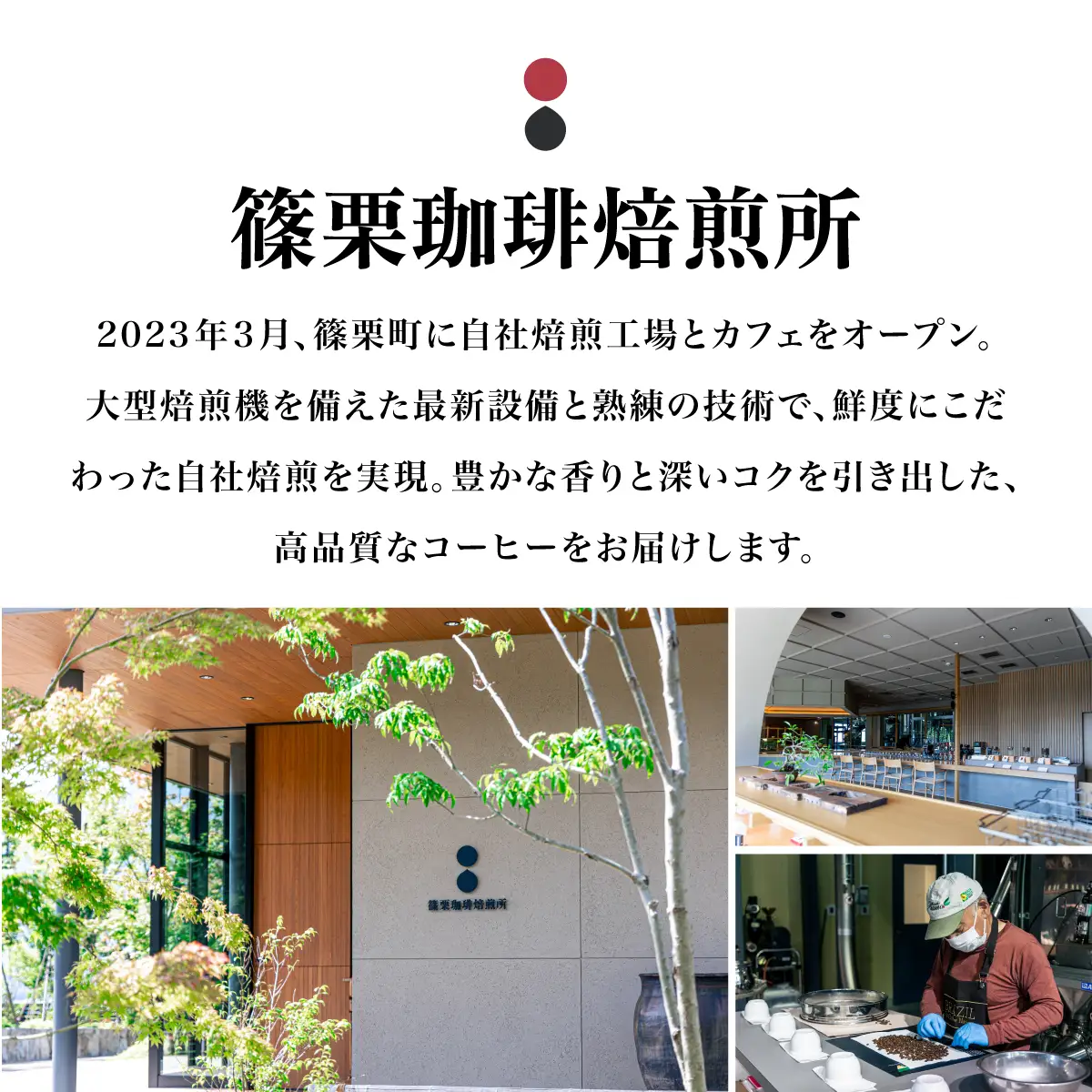 ボトルアイスコーヒー 500ml（箱入り）×2本【篠栗珈琲焙煎所】【AX06】 | ふるさと納税 アイスコーヒー ボトルコーヒー コーヒー 無糖アイスコーヒー 500ml 珈琲 スペシャルティコーヒー コーヒーギフト 箱入り お取り寄せ 人気 冷蔵 冷やして飲む 自家焙煎 贈答用 カフェ 高級飲料