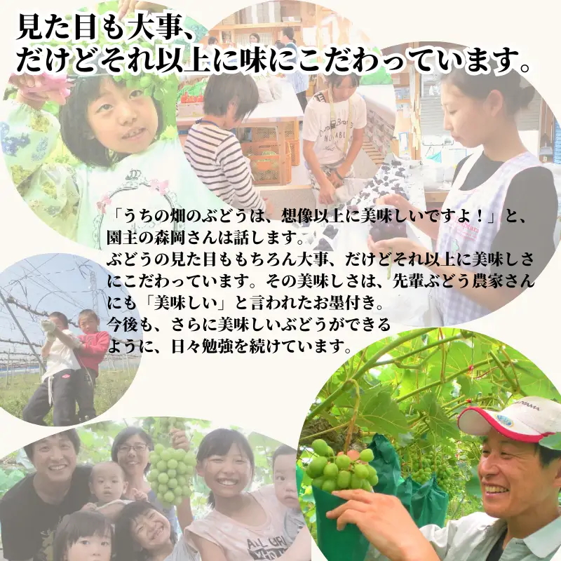 もりおか農園のよろこびぶどう ピオーネ 約1.2kg 2房 【先行予約 2026年9月上旬から順次発送】