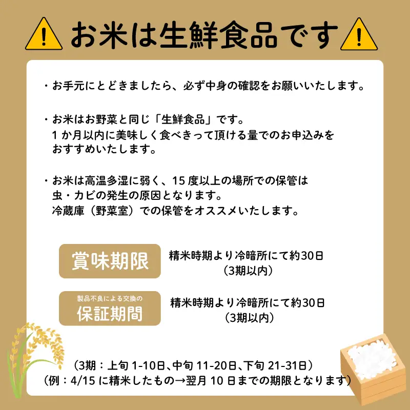 無洗米 コシヒカリ 5kg 令和7年産 精米 コシヒカリ